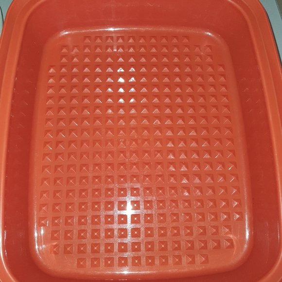 Tupperware Container - Picture 3 of 4